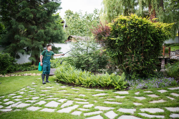 Pest Prevention Services in Elkhorn, WI