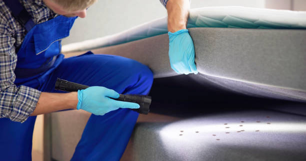 Best Affordable Pest Control Services  in Elkhorn, WI