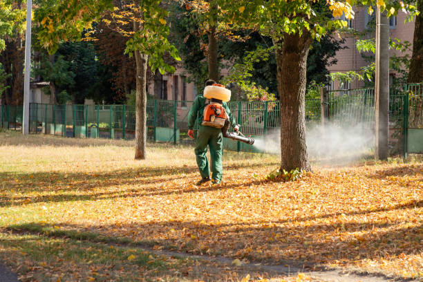 Best Emergency Pest Control  in Elkhorn, WI